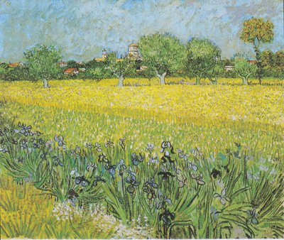Blick auf Arles mit Iris im Vordergrund von Vincent van Gogh
